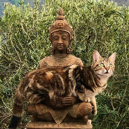 Casa Ganesha Villa Comares ภายนอก รูปภาพ