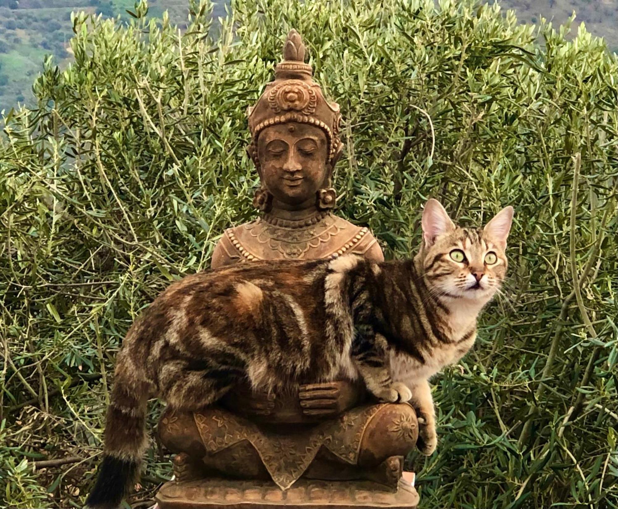 Casa Ganesha Villa Comares ภายนอก รูปภาพ